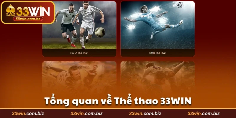 Tổng quan về Thể thao 33WIN